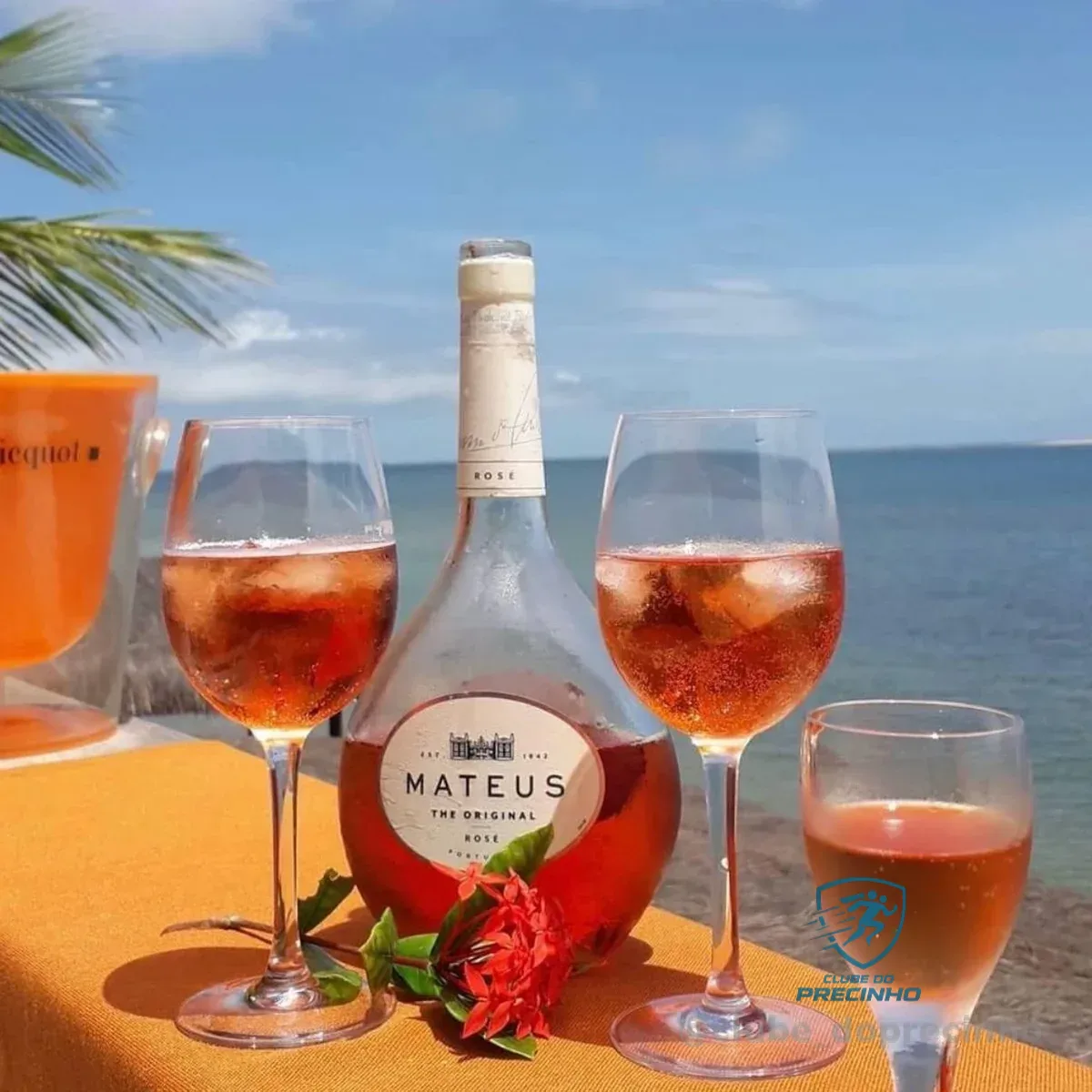 COMIDA LEVE + ESSE VINHO = COMBINAÇÃO PERFEITA 😮‍💨🍷