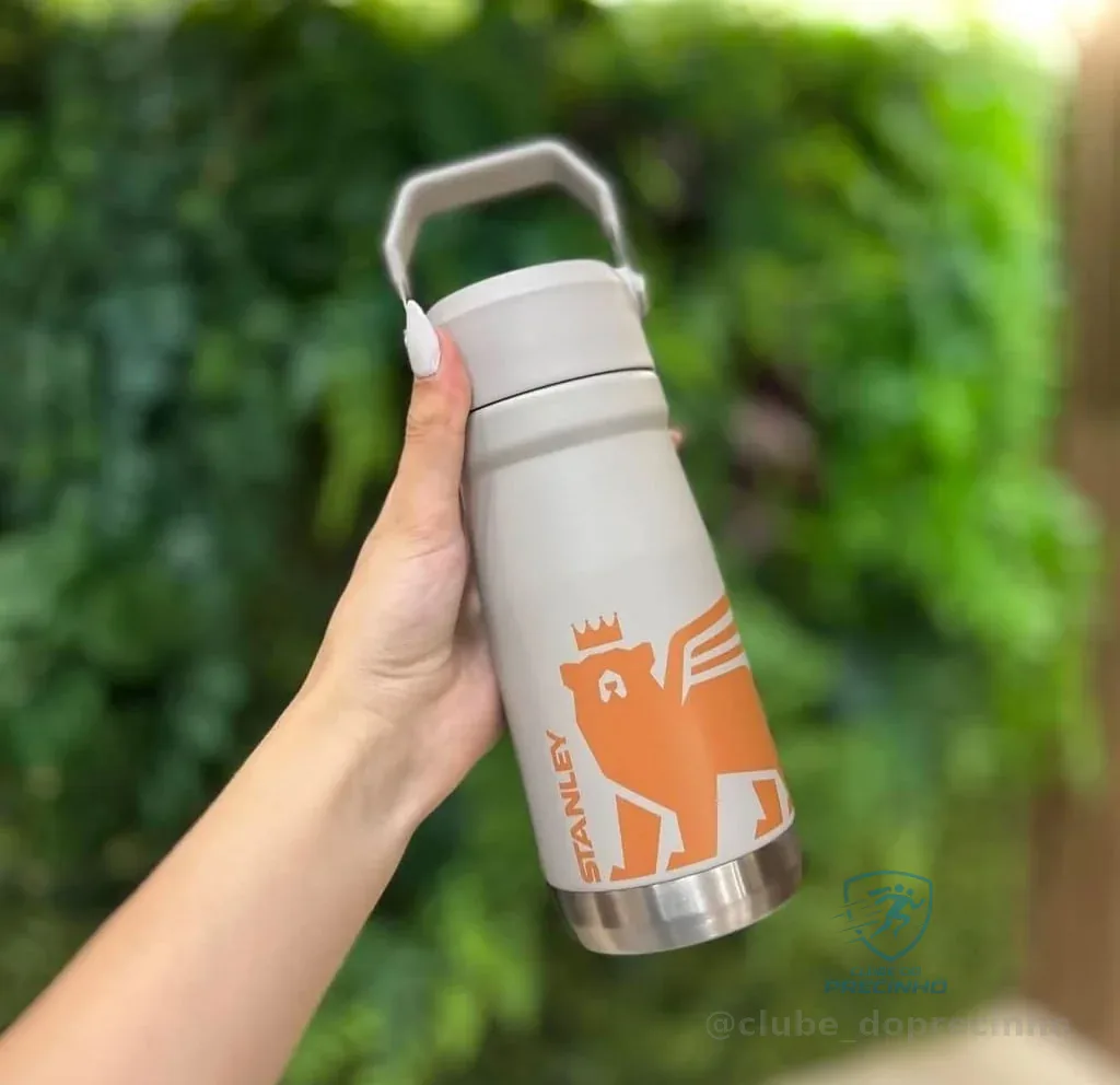 Stanley Garrafa Térmica Flip Straw Youth Ash | 500ml