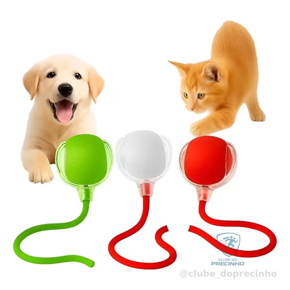 Bola Elétrica Interativa Brinquedo Inteligente Gato Cachorro Sortidos