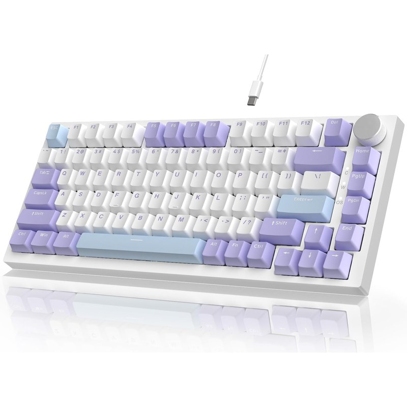 Teclado mecânico  AJAZZ AK820 para jogos RGB com fio e botão CNC,layout 75%(Azul Roxo)