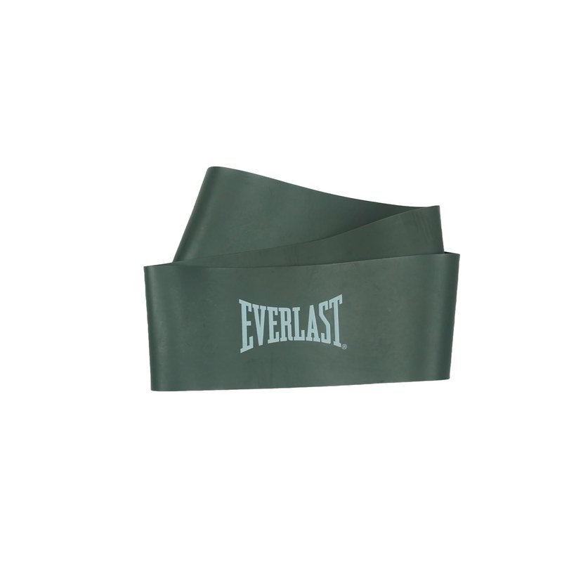 Everlast Mini Band