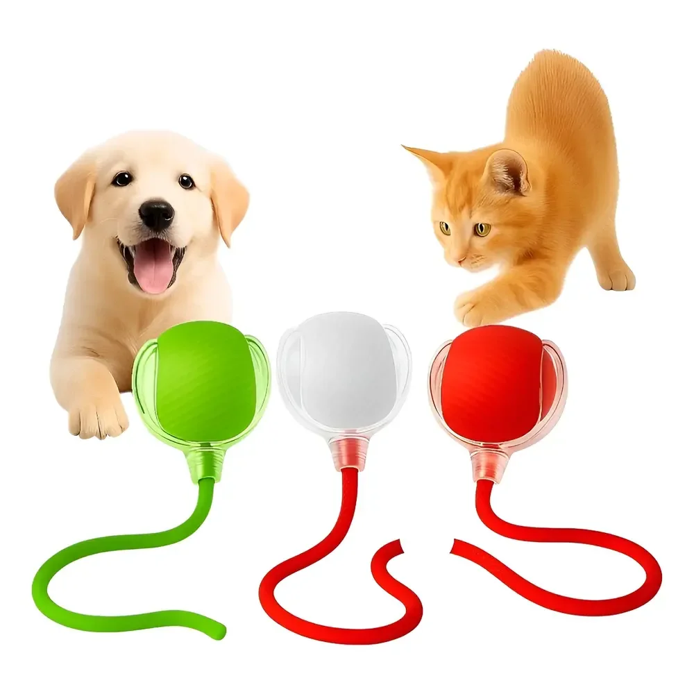 Bola Elétrica Interativa Brinquedo Inteligente Gato Cachorro Sortidos