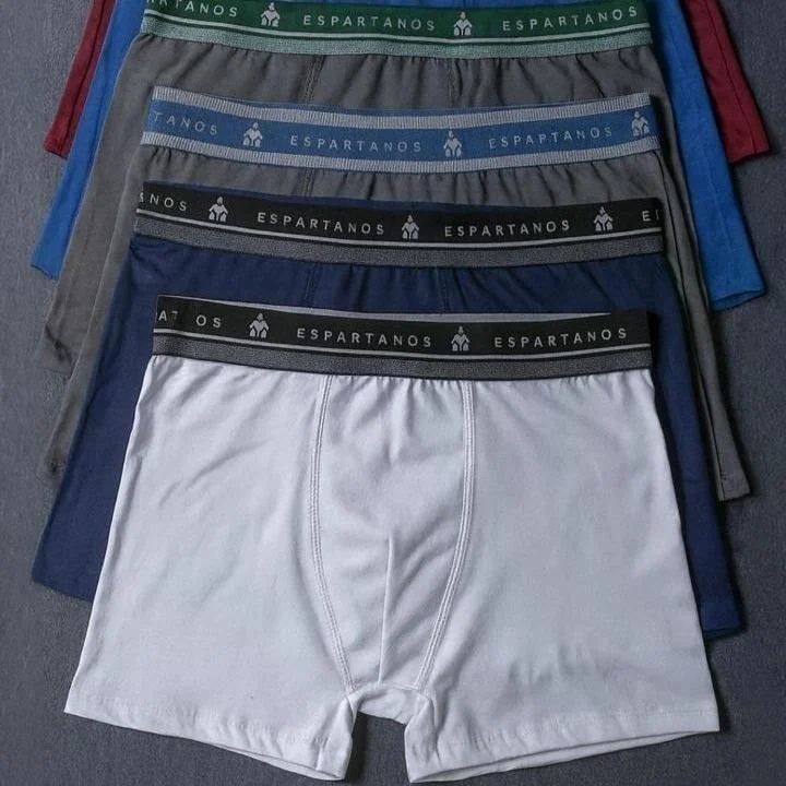 Kit Com 10 Cuecas Boxer Masculina Microfibra Original